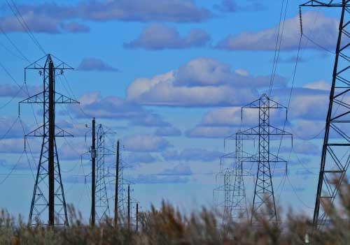 compare business electricity